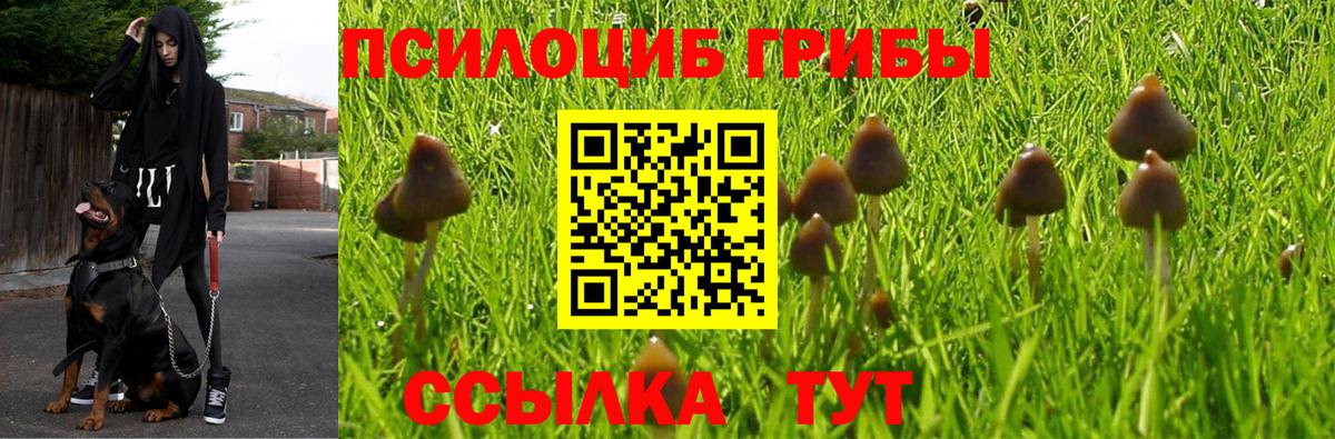 Тихвин  Псилоцибиновые грибы прущие грибы  Вход с VPN 